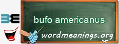 WordMeaning blackboard for bufo americanus